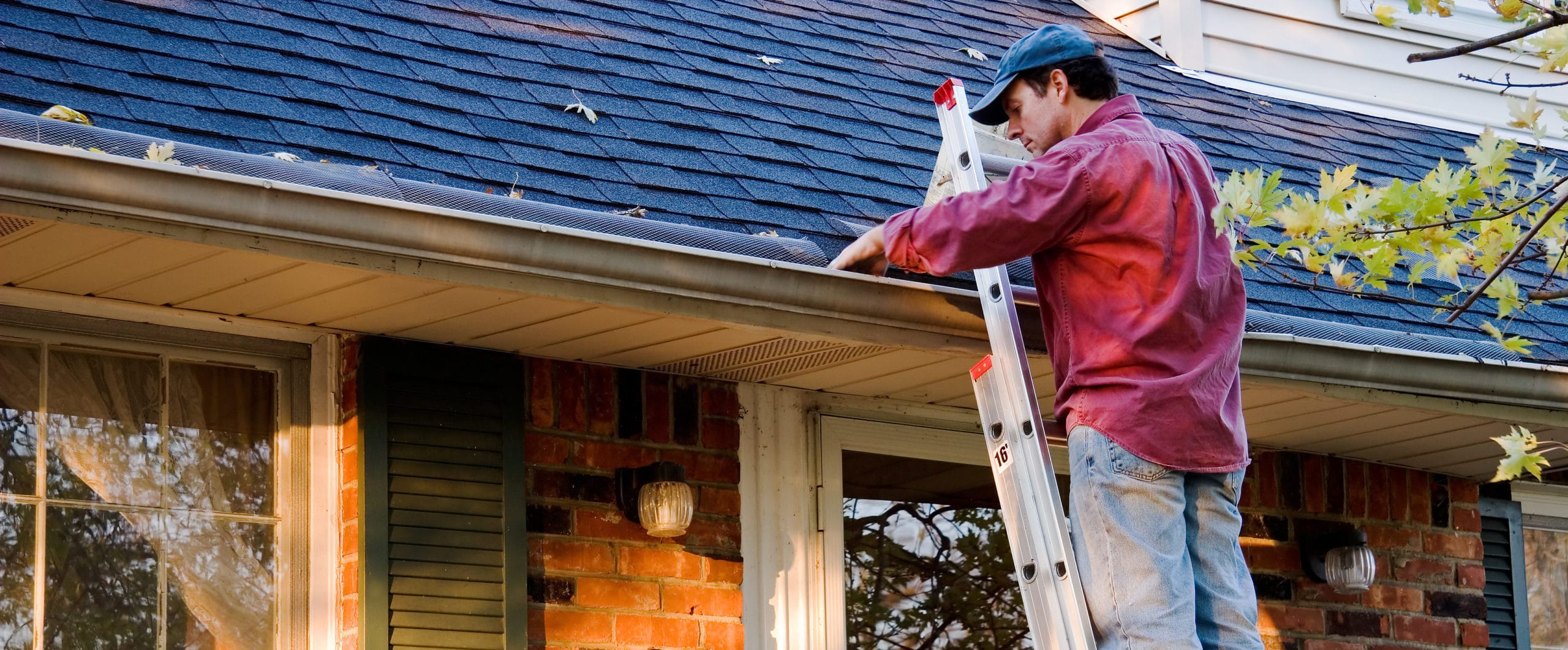Gutter Cleaning